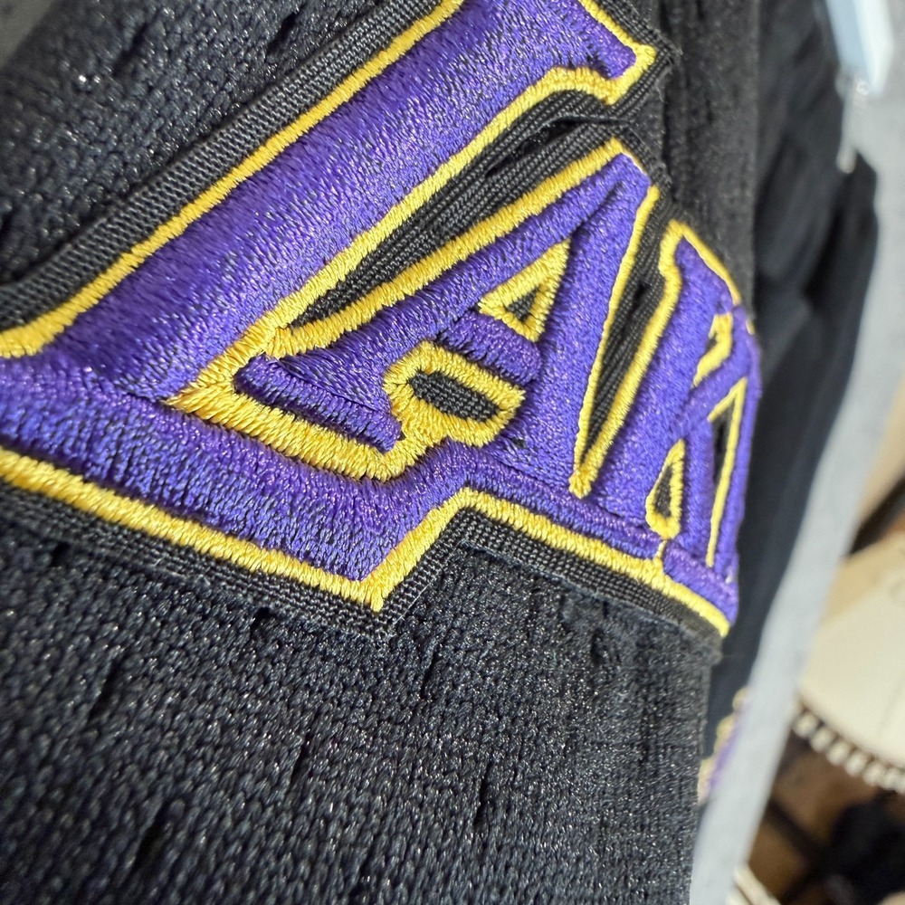 Pro Standard Los Angeles Lakers City Scape Sunset Mesh Shorts Large Heavyweight - Picture 13 of 16